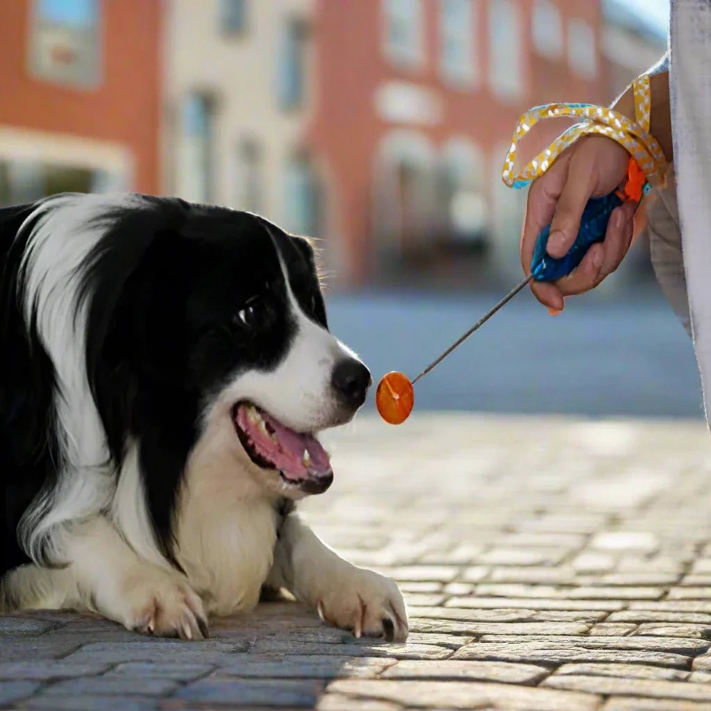 BirdWhistleClicker™ - Boutik de chiens