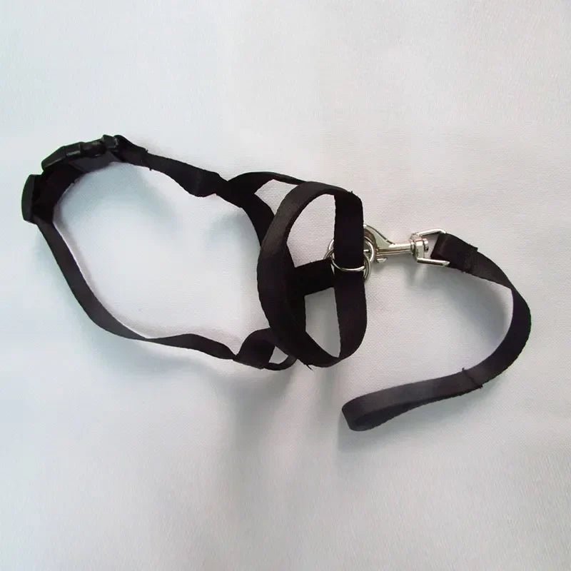 DogMuzzle™ - Boutik de chiens