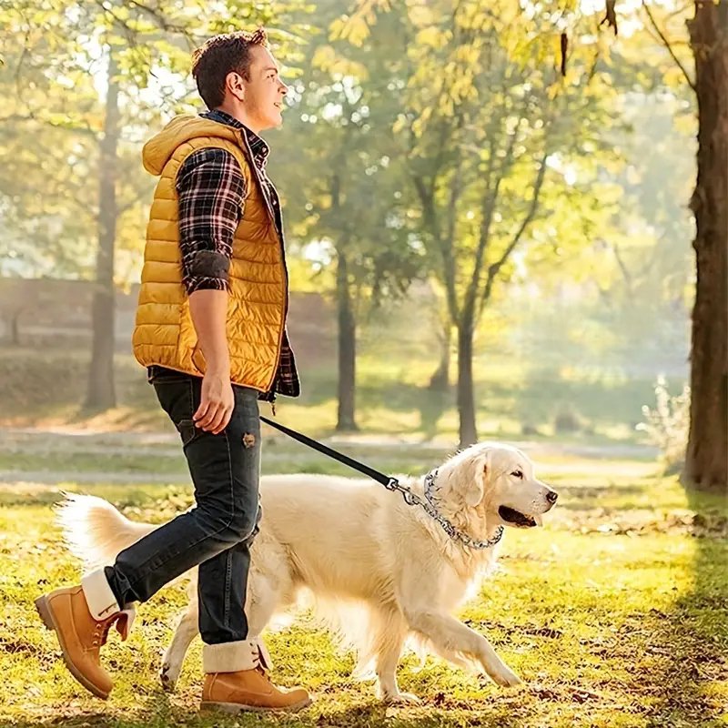 TrainingCollier™ - Boutik de chiens